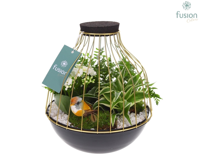 <h4>Vogelkooi metaal goudzwart Large met arrangement</h4>