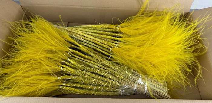 <h4>Df Stypha 60cm Bs Yellow</h4>