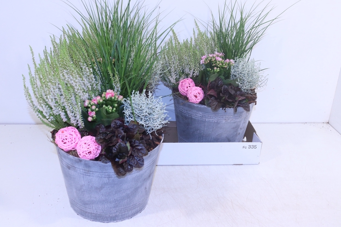 <h4>ARR TUINPLANTEN</h4>