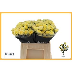 R TR WEDDING INVITE Water