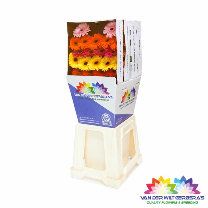 <h4>Germini Mix Diamond</h4>