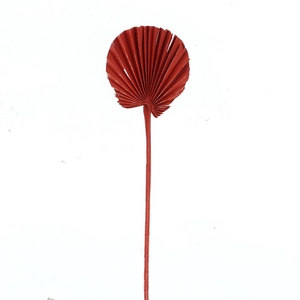 Dried Palm Round Red