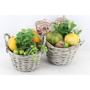arr4 Sierfruit JS - Wilg mandje grey 338/4