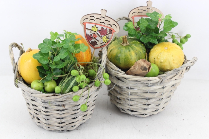 <h4>arr4 Sierfruit JS - Wilg mandje grey 338/4</h4>