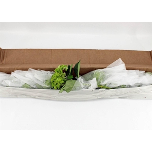 Hydr M Clover In Box X12