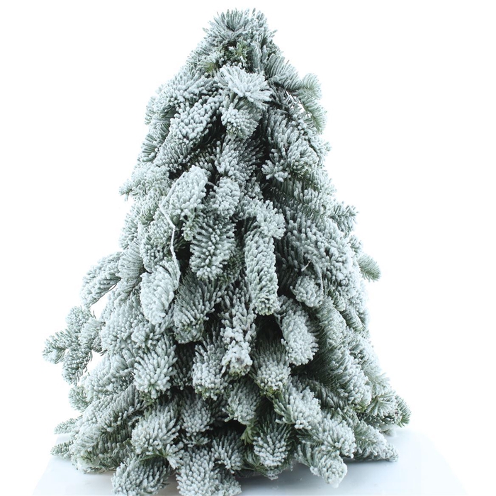 <h4>Nobilis Kerstboom Sneeuw 40cm</h4>