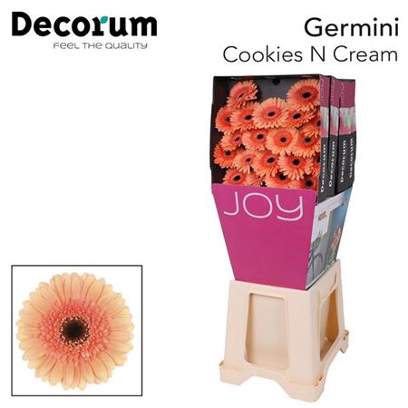 <h4>Ge Mi Cookie N Cream Diamond</h4>