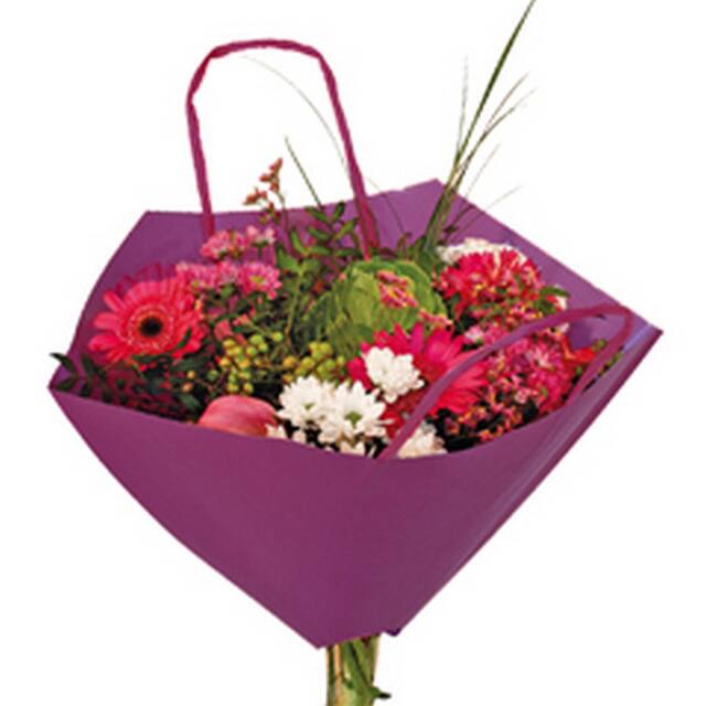 <h4>Hoes 35x35cm boekettas Bro-lux Fond paars + hengsel 400/ds</h4>