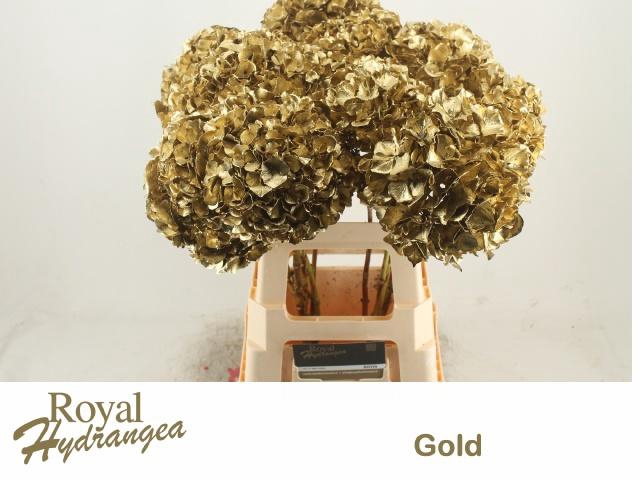 <h4>HYDR OV KLB H%</h4>