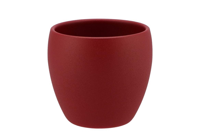 <h4>Vinci Red Velvet Flower Pot 14x13cm Nm</h4>