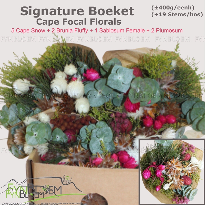 <h4>KAAPS GROE GEM IN BS</h4>