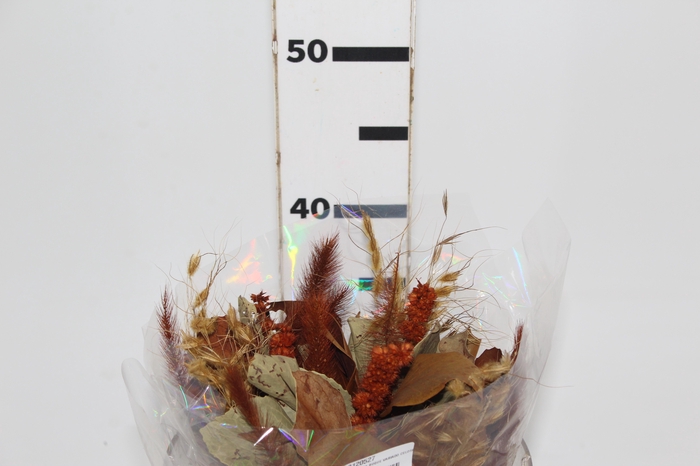 <h4>PLANTA SECA BUQUE VARIADO CELOSIA OUTONO 40CM</h4>