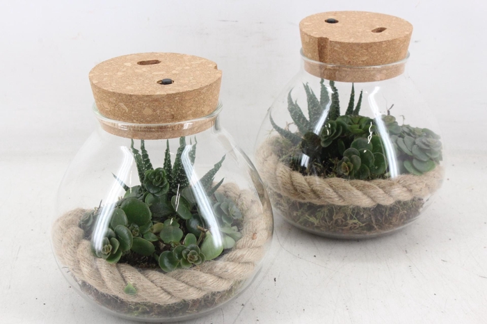 <h4>arr3 SN - Terrarium kurk dop LED</h4>