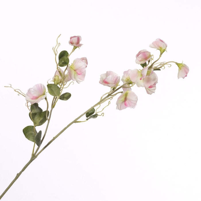 Lathyrus Spray Light Pink FL440247LPK