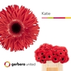 Ge Gr Spi Katie