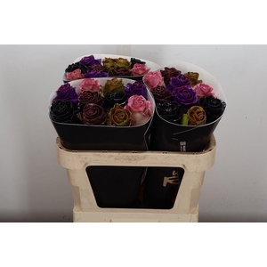 Wax-Rozen Wax Classic Mixed