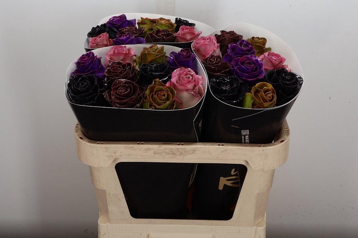 <h4>Wax-Rozen Wax Classic Mixed</h4>