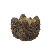 Concrete Natural Pinecone Pot Round Edge 17x17x12cm Nm