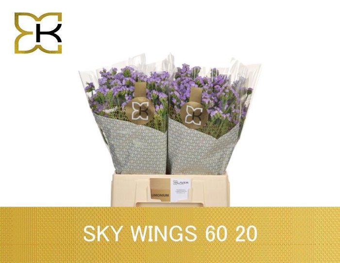 <h4>LIM S SKY WINGS</h4>
