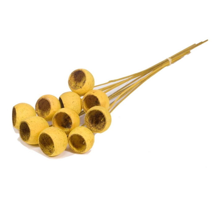 <h4>Bell Cup O/s 10pc Yellow</h4>