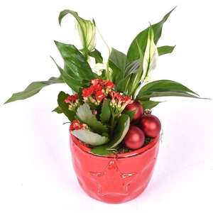 Keramiek ster decor 12cm