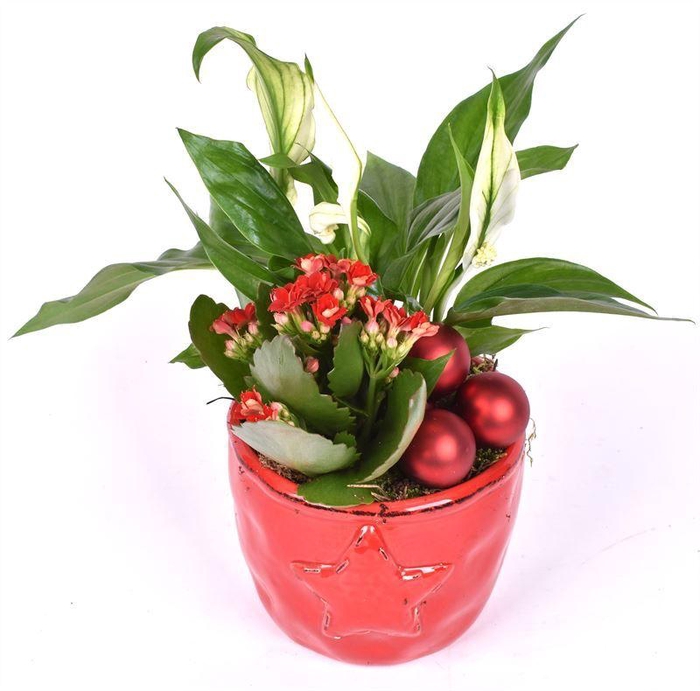 <h4>Keramiek ster decor 12cm</h4>