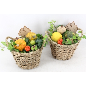 arr4 Sierfruit JS - Mand rond naturel x4
