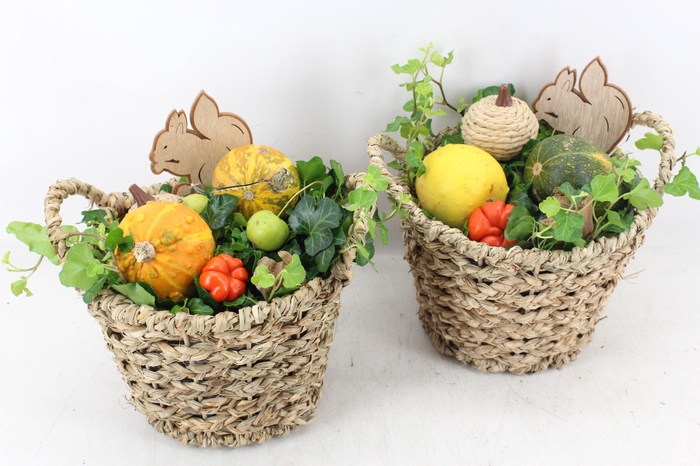 <h4>arr4 Sierfruit JS - Mand rond naturel x4</h4>