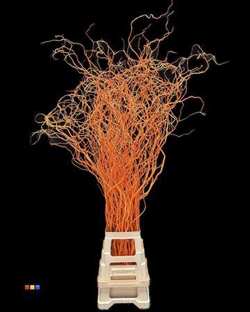 <h4>Salix 130cm Orange</h4>