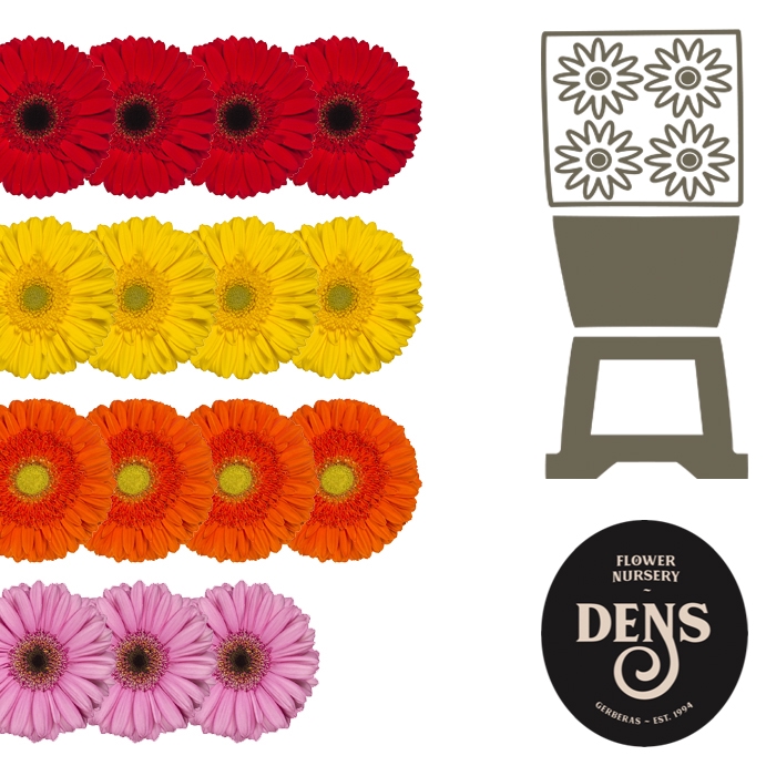 <h4>Gerbera Mix op Rij Diamond</h4>