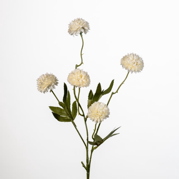 <h4>AF Gompy spray x5 L51cm salmon</h4>