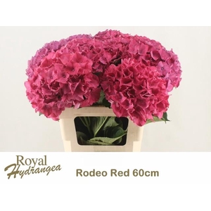 HYDR M CH RODEO RD