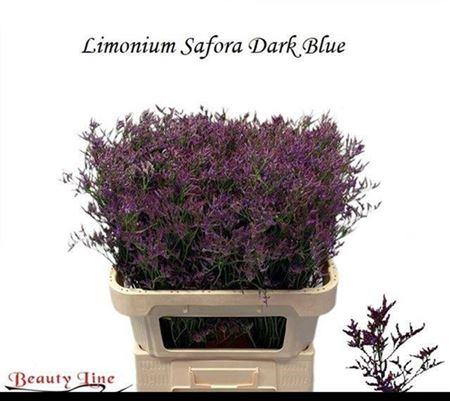 <h4>Lim Saf Dark Blue</h4>