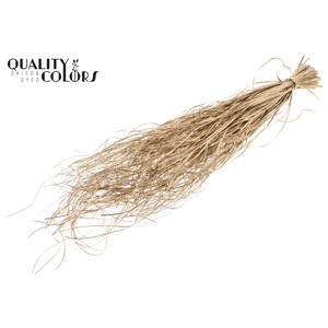 Beargrass dried per bunch Antique Gold
