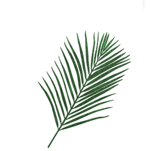 FOLHAGEM ARECA BAMBU