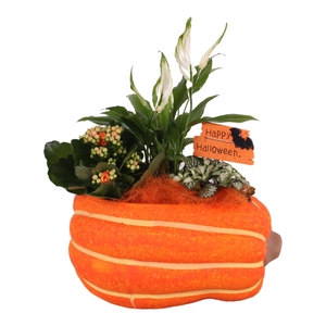 Halloween Arr. Indoor Ceramic Pumpkin Ø25cm 3PP