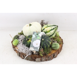 arr4 Sierfruit MB - Hout schijf XL white