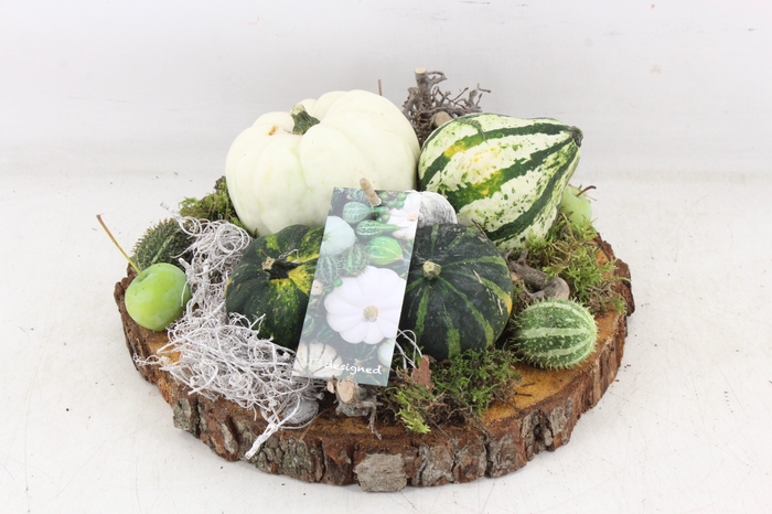 <h4>arr4 Sierfruit MB - Hout schijf XL white</h4>
