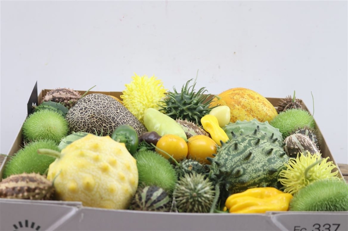 <h4>Sier Cucumis Mix Kruisbes Green X4 Hol</h4>