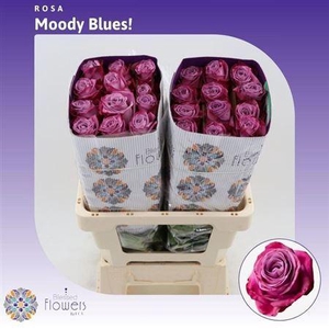 R Gr Moody Blues! Ec