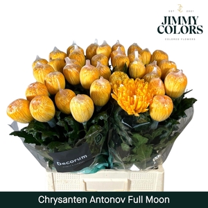 Chr G Antonov Full moon