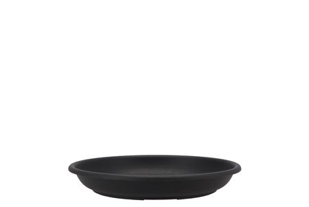 <h4>Floristry Plate 22cm P/10 Black</h4>