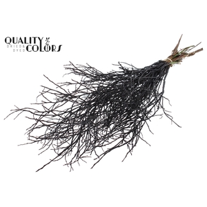 Huckelberry per bunch Black