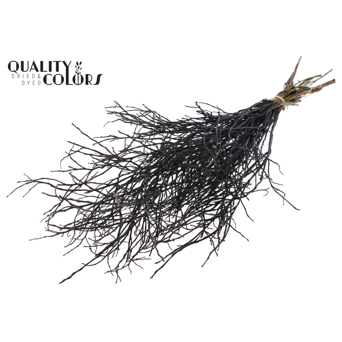 <h4>Huckelberry per bunch Black</h4>