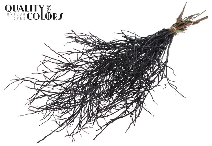 Huckelberry per bunch Black