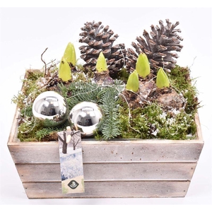 Hout Schaal 26x25xhoog 10cm