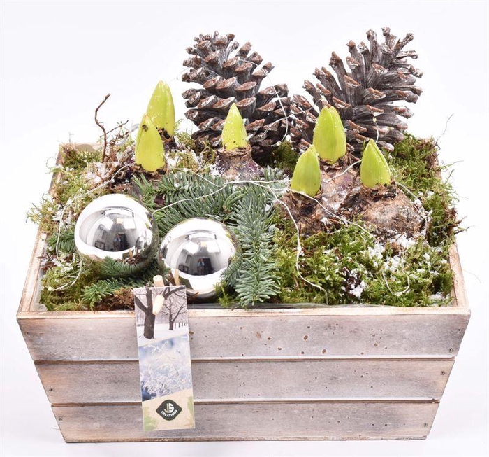 <h4>Hout Schaal 26x25xhoog 10cm</h4>