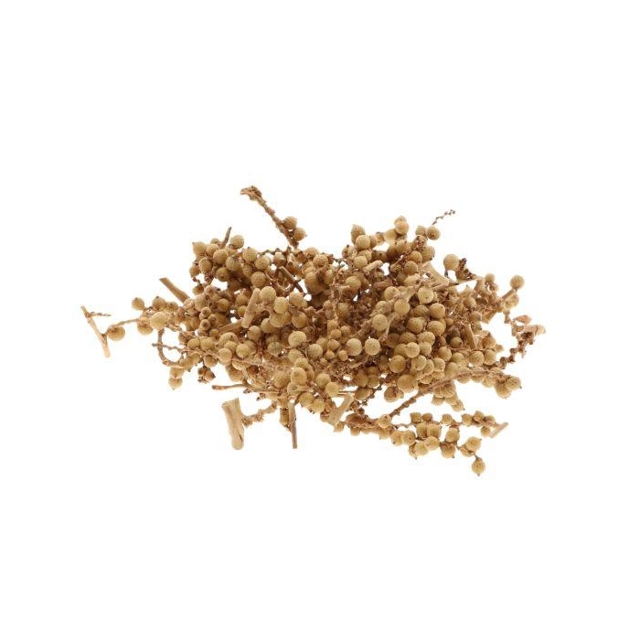 <h4>Canela Small Bunch 50g L9W8H15</h4>