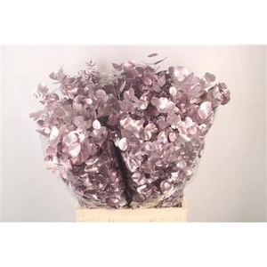 Euc Cin V Metallic Purple 400 Gram