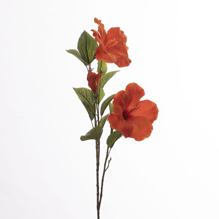 <h4>Af Hibiscus X3 L102cm Orange</h4>